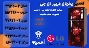 تعمیرکار یخچال و فریزر ال جی